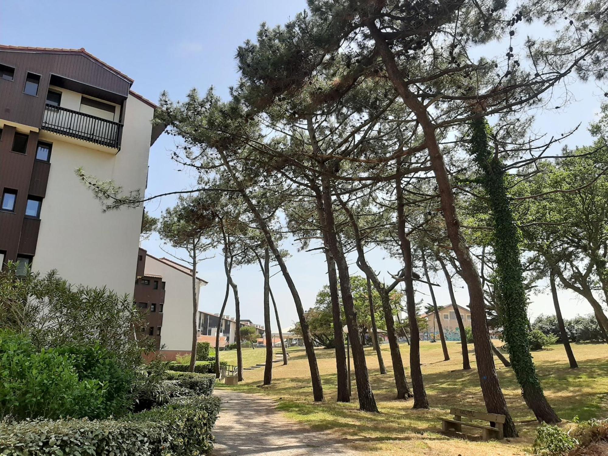 Studio Cosy Proche Ocean Et Commerces, Parfait Pour Des Vacances A Deux! - Fr-1-239-437 Сеньос Екстериор снимка